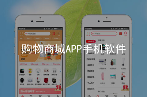 購物商城APP制作案例_項目案例